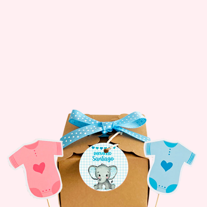 Nacimiento / Baby Shower